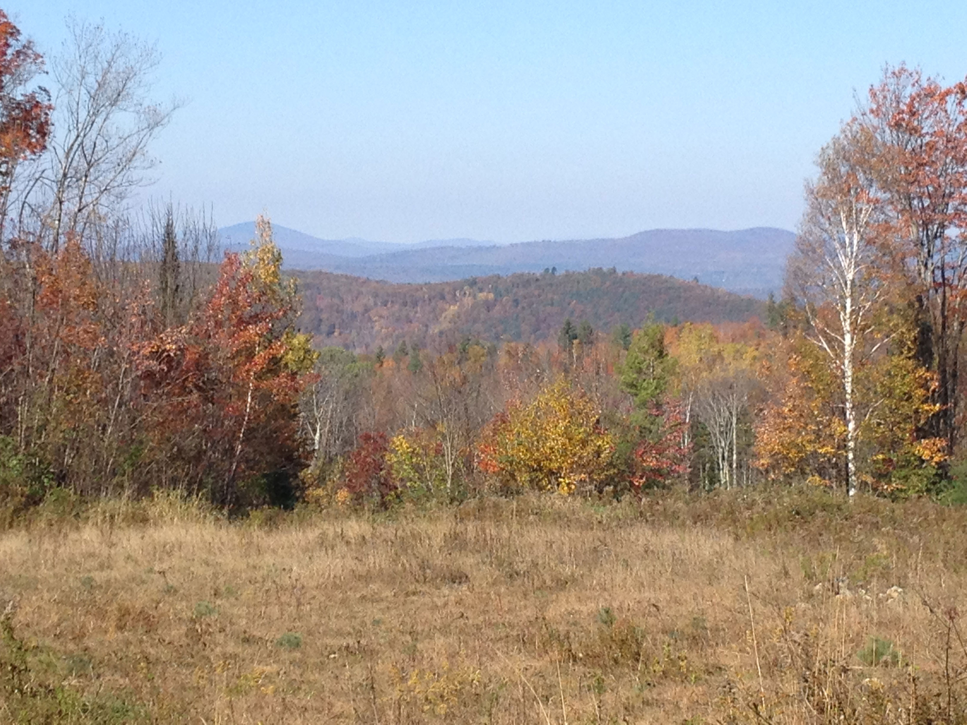 "October in New England is always a special time, but if you are a bird hunter, it takes on a deeper meaning. This is the view of the White Mountains in northern New Hampshire where we hunt."