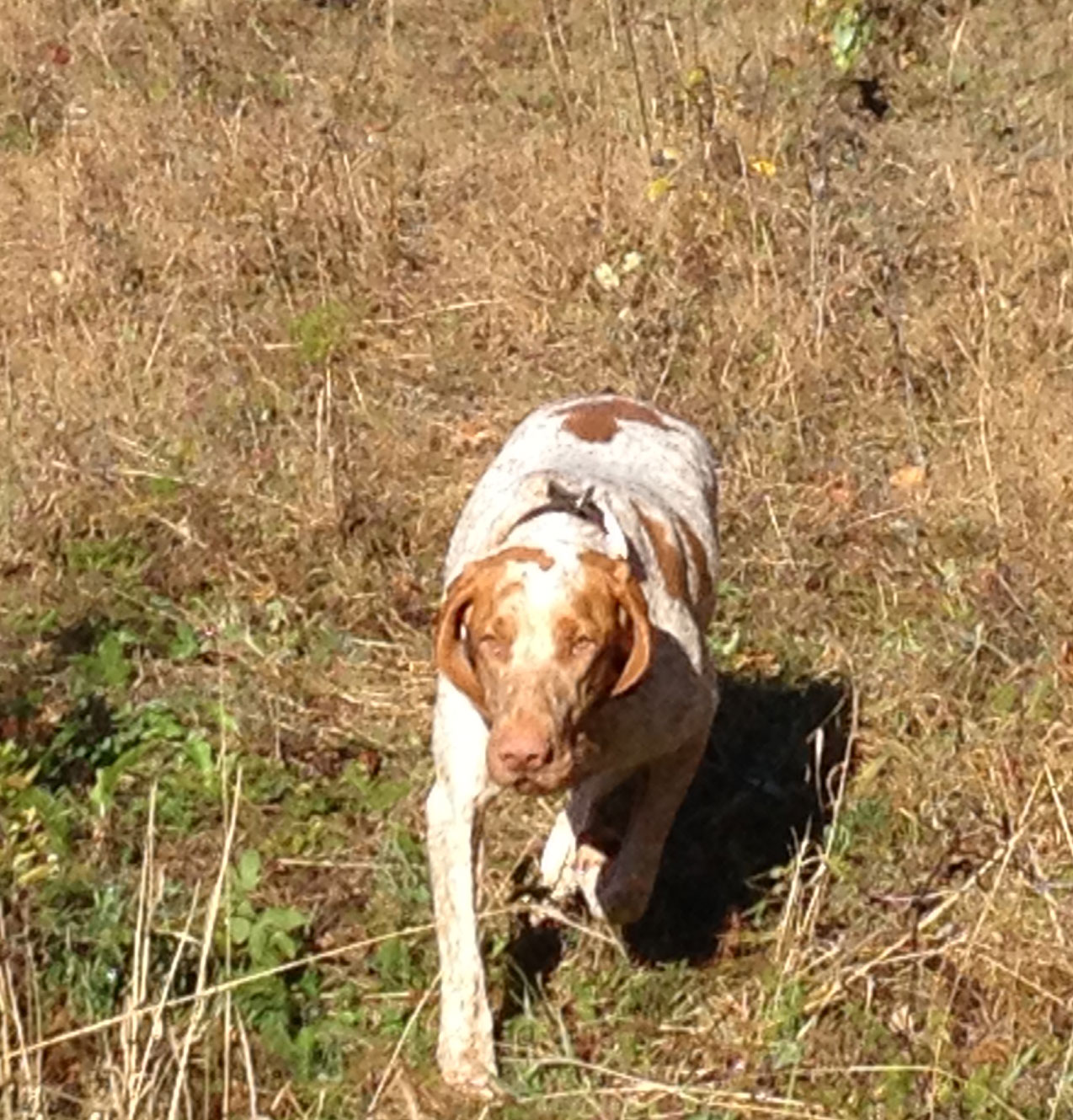 "Abbie just out of the truck, but ready to get rolling."