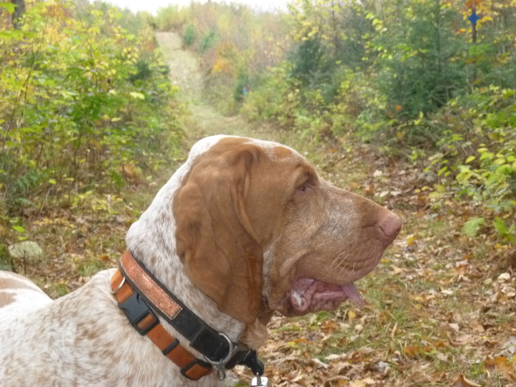 "We do get to hunt in pretty places."