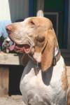 IMG_3878